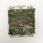 Листья Гинкго Билоба, 50 г - Фото 2