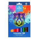 Карандаши 36цв K-I-N 3135 Triocolor tiger, трехгранные, карт/уп - фото 22848563