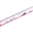 Линейка пластиковая «Лапка», 15 см, прозрачная, МИКС - Фото 3