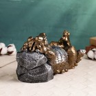 Копилка "Крокодил у камня" бронза с серебром, 16х29см - фото 7346926