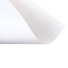 Бумага для рисования А4, 24 листа, 80г/м² Calligrata, в папке - фото 7671685