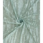 Тюль «Дождь», размер 200x260 см, цвет мятный - фото 301306374