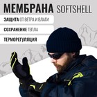 Перчатки лыжные ONLYTOP модель 1966, р. L 9236292 - фото 830497