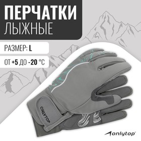 Перчатки лыжные ONLYTOP модель 2099, р. L 9236300