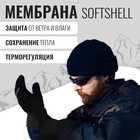 Перчатки лыжные лобстеры ONLYTOP модель 2089, р. M - Фото 3