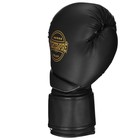 Перчатки боксёрские FIGHT EMPIRE, PLATINUM, чёрно-белые, размер 10 oz - Фото 2
