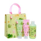 Подарочный набор Liss Kroully:пена, 200 мл + маска, 75 мл + крем, 75 мл - фото 22773217