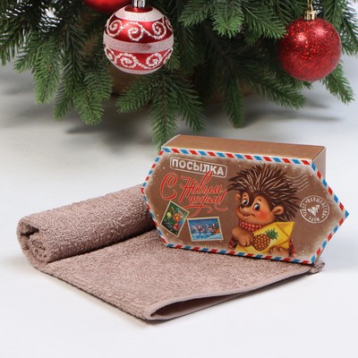 Полотенце махровое «Этель. Новогодняя посылка», 30×30 см, хлопок 100%
