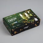 Светодиодные свечи на прищепках 10 см, 10 штук, от батареек ААх1, пульт ДУ, свечение белое  (артикул 9603999)  большой выбор товаров оптом и в розницу по низким ценам с доставкой