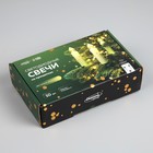 Светодиодные свечи на прищепках 10 см, 10 штук, батарейки ААх1 (не в комплекте), пульт ДУ, свечение тёплое белое - Фото 9