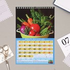 Календарь на пружине без ригеля "Садово-огородный лунный" 2024 год, 17х25 см - Фото 2
