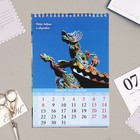 Календарь на пружине без ригеля "Символ года - 2" 2024 год, пословицы, 17х25 см - Фото 2