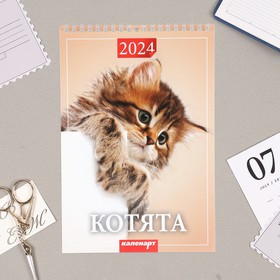 Календарь на пружине без ригеля "Котята" 2024 год, 17х25 см 9928455