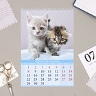 Календарь на пружине без ригеля "Котята" 2024 год, 17х25 см - Фото 2