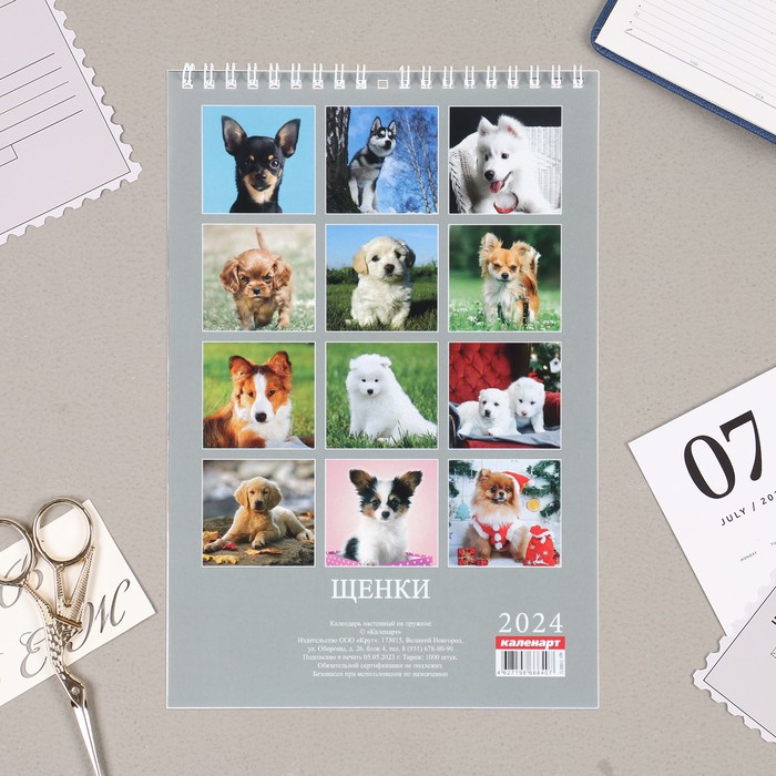 Календарь на пружине без ригеля "Щенки" 2024 год, 17х25 см 9928456