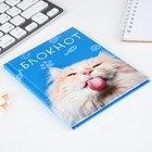 Блокнот А6 в твердой обложке, 40 листов «Кот» - Фото 4