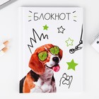 Блокнот А6 в твердой обложке, 40 листов «Собака в очках» - фото 22773245