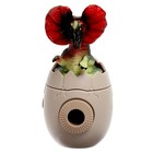 Проектор ZABIAKA «Дино», световые эффекты, 24 картинки, МИКС - Фото 3