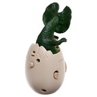 Проектор ZABIAKA «Дино», световые эффекты, 24 картинки, МИКС - Фото 4