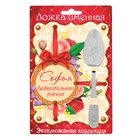 Ложка с гравировкой на открытке "Софья" - Фото 1