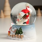 Сувенир полистоун водяной шар "Дед Мороз со скрипкой" 7х8х9 см - Фото 4