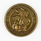 Монета в коробке"Прибыльного года", 4.9 х 3.2 см - фото 9931314