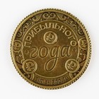 Монета в коробке"Прибыльного года", 4.9 х 3.2 см - фото 9931315