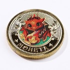 Монета дракон "Огенных доходов", диам. 2,2 см - фото 9684528