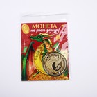 Монета дракон "На рост доходов", диам. 4 см - фото 24648538