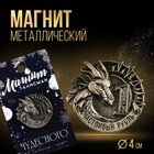 Магнит «Чудесного нового года», диам. 4 см 9528024 - фото 11023202