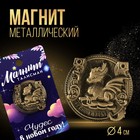 Магнит «Чудес в новом году», диам. 4 см 9528026 - фото 11023204