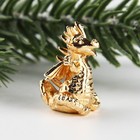 Кошельковая фигурка в коробке "Волшебный талисман", 7 х 10 см - фото 24658464