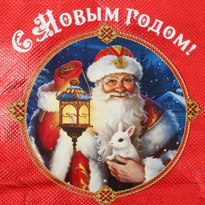Пакет-мешок из нетканного материала «Дедушка Мороз», 25 × 32 см