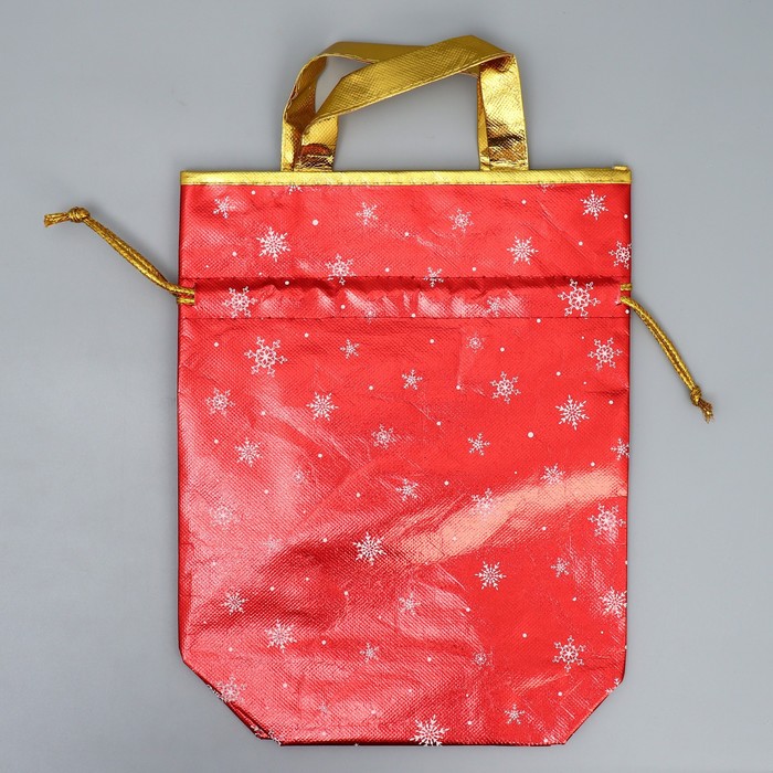 Пакет-мешок из нетканного материала «Дедушка Мороз», 25 × 32 см