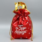 Пакет-мешок из нетканного материала «Подарок от Деда Мороза», 25 × 32 см - фото 320203253