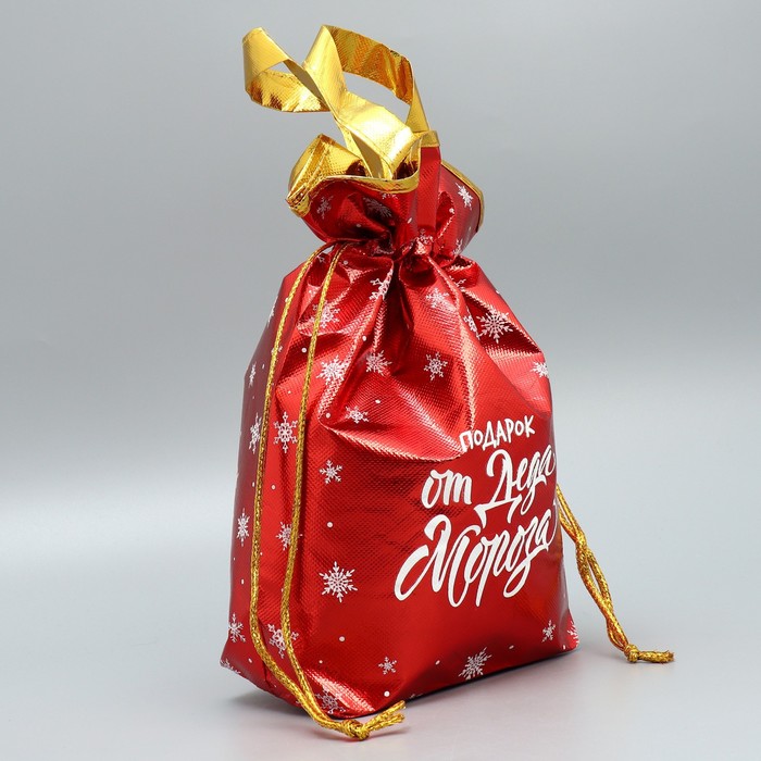 Пакет-мешок из нетканного материала «Подарок от Деда Мороза», 25 × 32 см