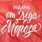Пакет-мешок из нетканного материала «Подарок от Деда Мороза», 25 х 32 см - фото 22920454