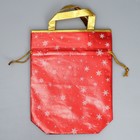 Пакет-мешок из нетканного материала «Подарок от Деда Мороза», 25 х 32 см - фото 25506952