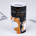 Копилка «Для твоих копеек», 12×6.5 см - Фото 4