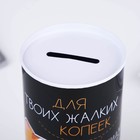 Копилка «Для твоих копеек», 12×6.5 см - Фото 6