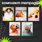 Комплект тетрадей из 10 штук, 24 листа в клетку Calligrata "Домашние животные", обложка мелованный картон, ВД-лак, блок офсет, 5 видов по 2 штуки - фото 24442382