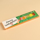 Леденцы - смайлы «Шкоднику», с кислинкой, 30 г. (комплект 2 шт) - фото 22751620