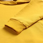 Комплект детский (толстовка, брюки), цвет горчичный, рост 104 см - фото 25277591