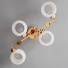 Люстра "Алин" 4х60Вт Е27 золото 57х35х22см - фото 37104842