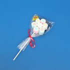 Зефир жевательный «Confectum Marshmallow pops», 28 г 10019823 - фото 10957465