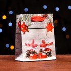 Пакет ламинированный «Новогодние олени» 11,5 х 14,5 х 6 см - фото 320057249