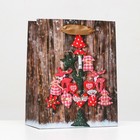 Пакет ламинированный «Зимние чудеса» 11,5 х 14,5 х 6 см (комплект 12 шт) - фото 45460633