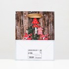 Пакет ламинированный «Зимние чудеса» 11,5 х 14,5 х 6 см (комплект 12 шт) - фото 45460634