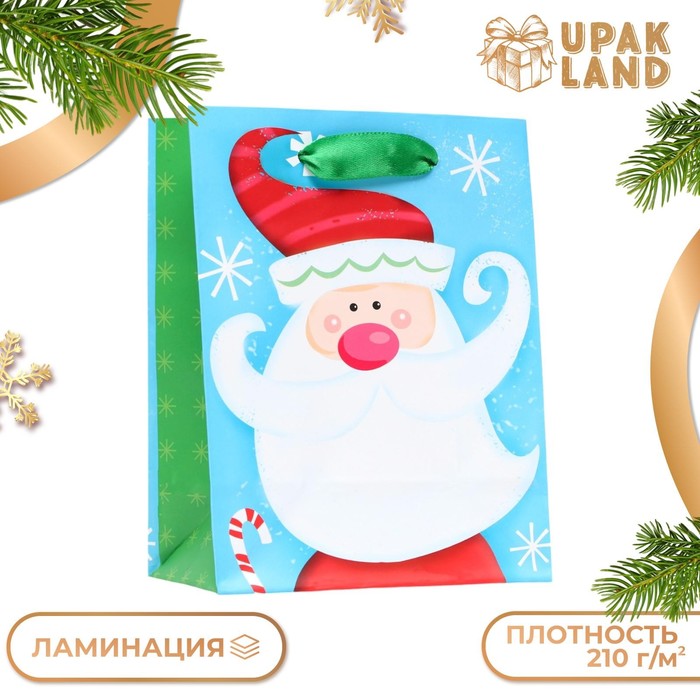

Новый год. Пакет ламинированный «Дедушка мороз» 11,5 х 14,5 х 6 см