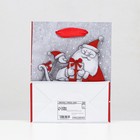 Пакет ламинированный «Снежная гармония» 11,5 х 14,5 х 6 см (комплект 12 шт) - фото 22783702